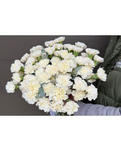 Buchet 71 garoafe albe - Eleganță Pură