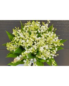 OFERTA Buchet 101 lacramioare 