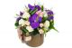 Aranjament floral cu orhidee Miss Vanda