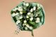 Buchet 35  lalele albe  White Serenity