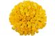 Buchet 101 trandafiri galbeni Pure Sun