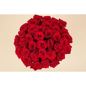 Buchet 35 trandafiri rosii -  Indragostita de trandafirii rosii 