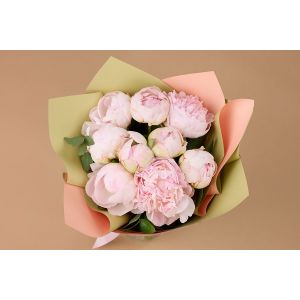 buchet 9 bujori roz