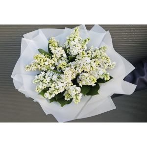Buchet de liliac alb