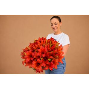 Buchet de crini speciali