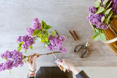 Ingrijire buchete de flori: Secrete pentru ca un buchet sa reziste mai mult